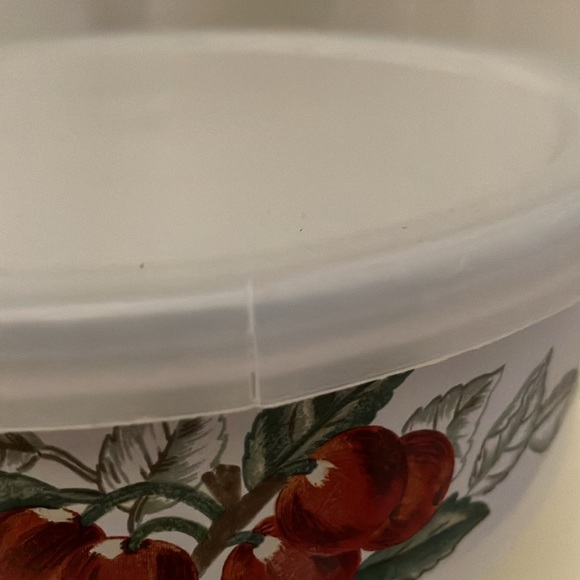 Charter Club Pair Of Enamelware Bowls With Plastic Tab Lids For Storage - Picture 10 of 12